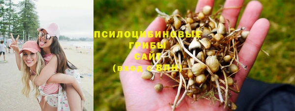 каннабис Алексин