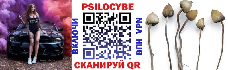 Псилоцибиновые грибы Psilocybine cubensis кракен tor Славск